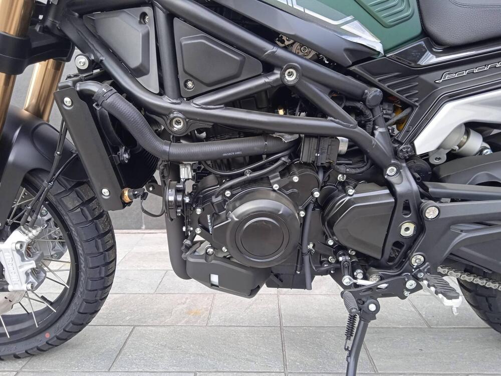 Benelli Leoncino 800 Trail (2022 - 25) (13)