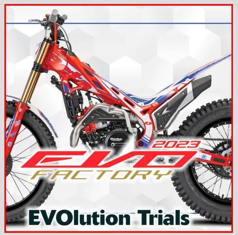 Betamotor Evo 250 2T Factory (2024) (2)