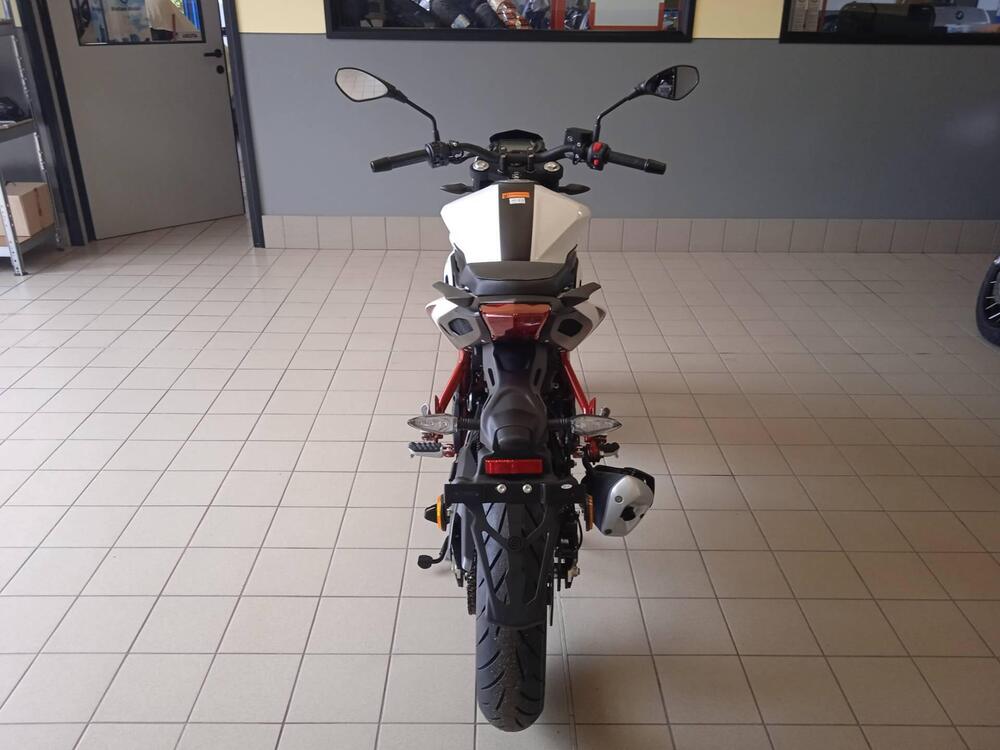 Benelli BN 125 (2021 - 25) (4)