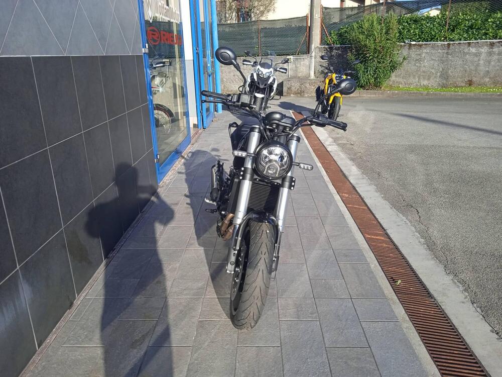 Benelli Leoncino 500 (2021 - 25) (3)