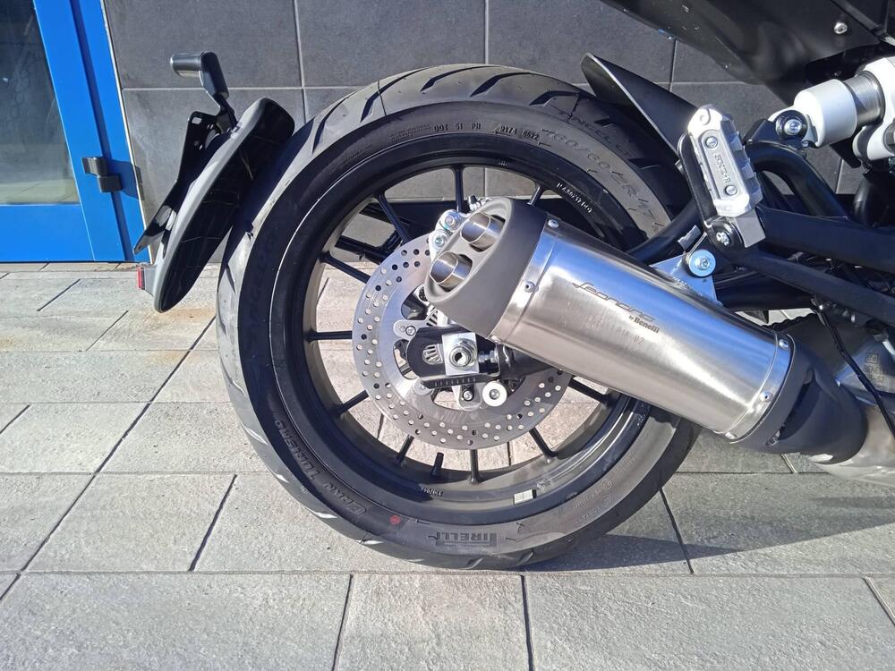 Benelli Leoncino 500 (2021 - 25) (6)