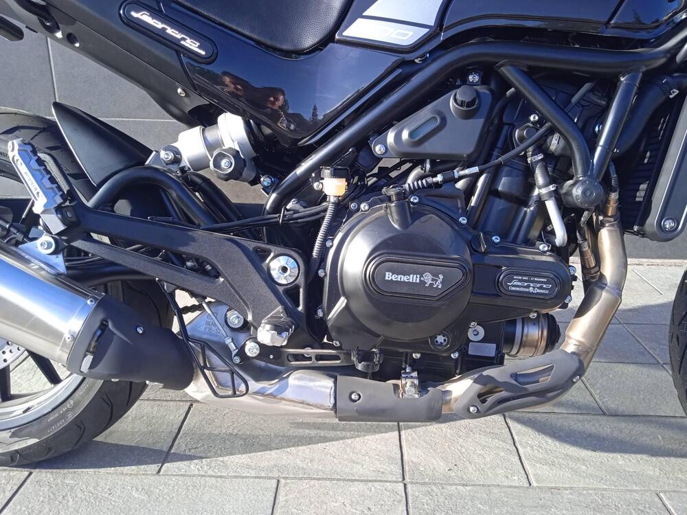 Benelli Leoncino 500 (2021 - 25) (7)