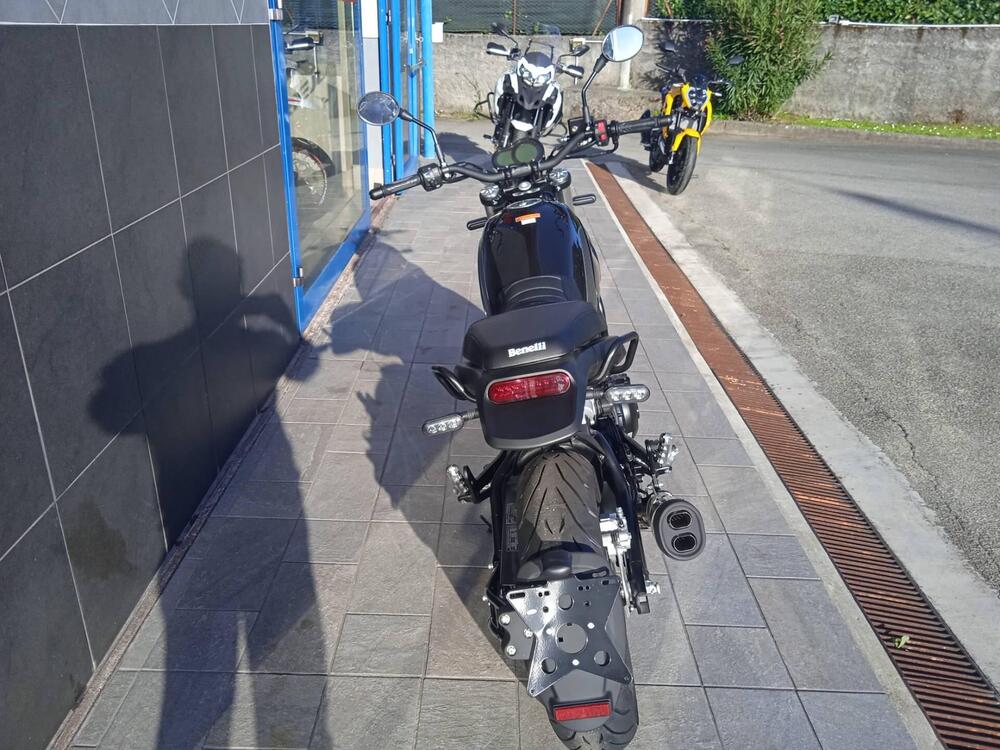 Benelli Leoncino 500 (2021 - 25) (4)