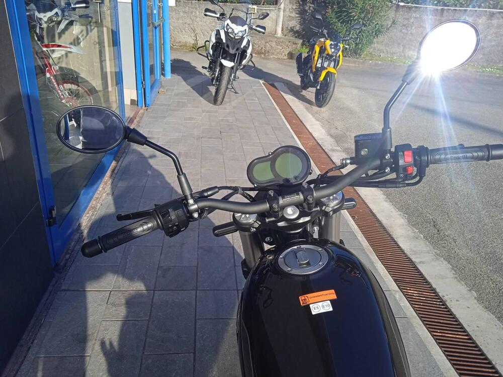 Benelli Leoncino 500 (2021 - 25) (9)