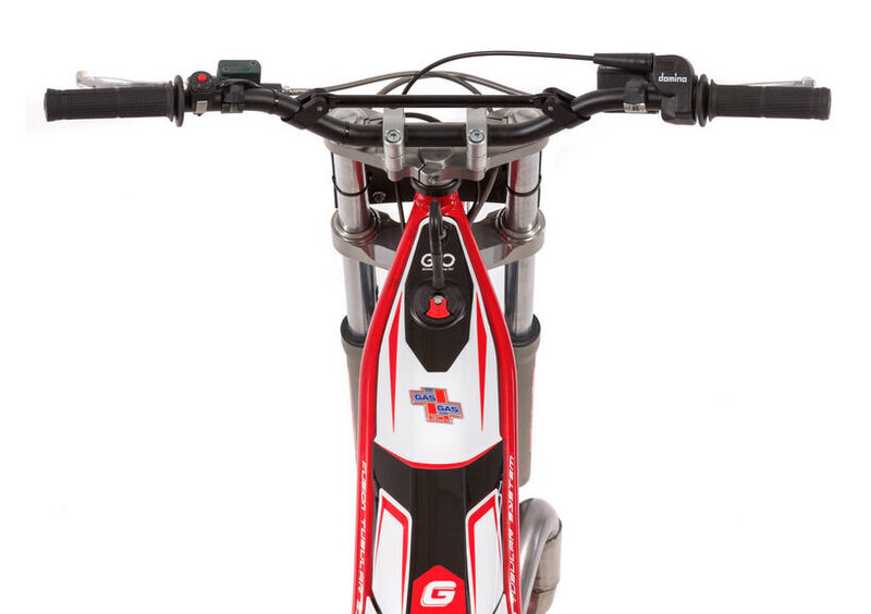 GASGAS TXT 80 TXT 80 PRO Racing (2015) (7)