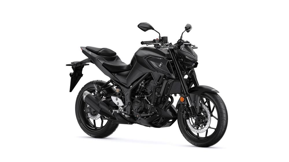 Yamaha MT-03 (2022 - 24)