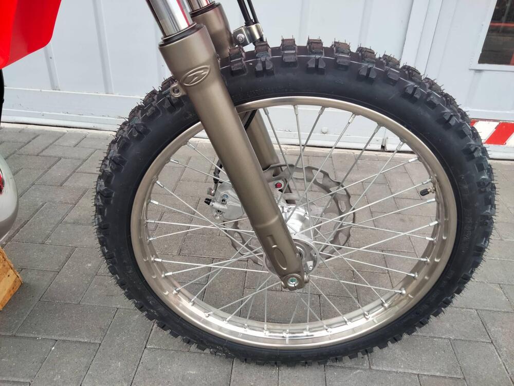 Betamotor RR 50 Enduro (2021 - 25) (9)