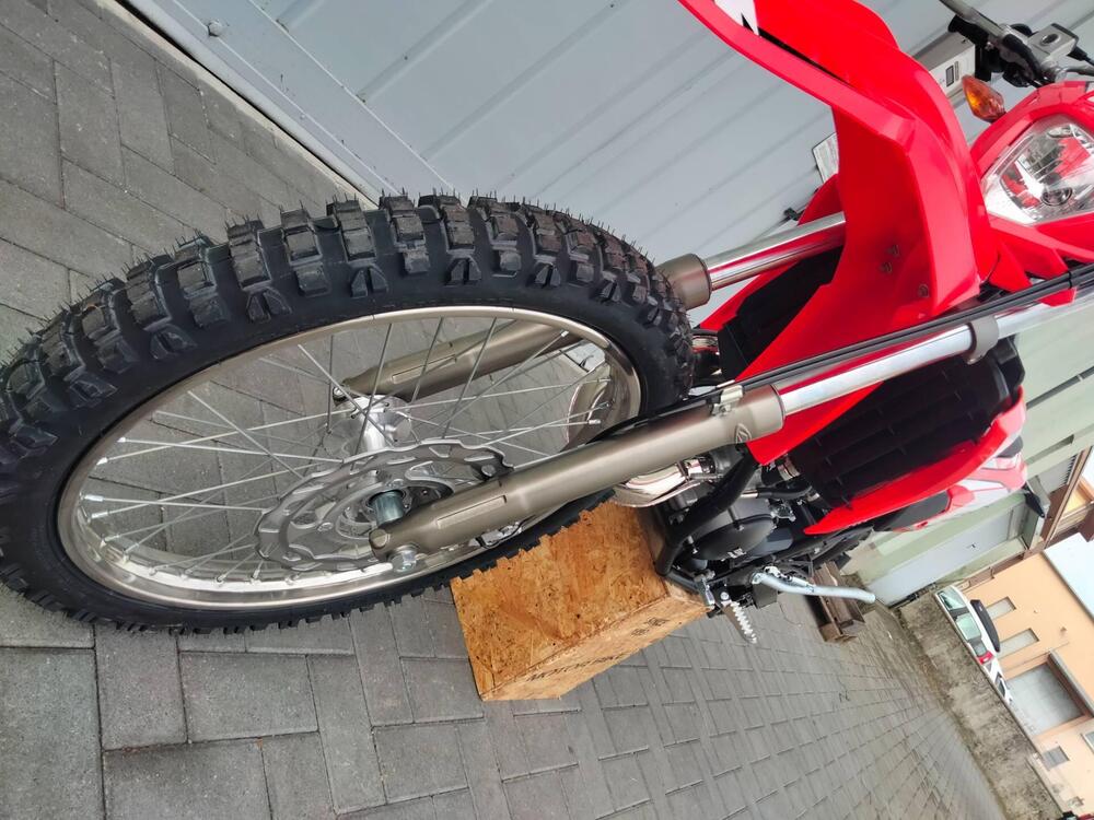 Betamotor RR 50 Enduro (2021 - 25) (14)