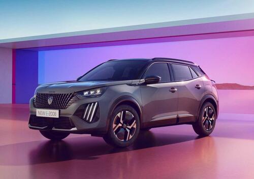 Peugeot 2008 (2019--&gt;&gt;)