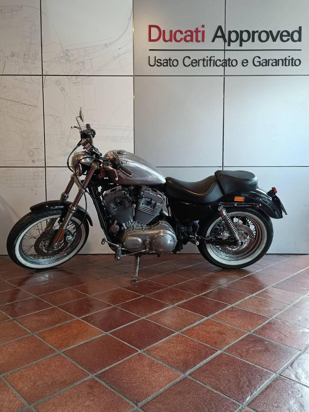 Harley-Davidson 883 Custom (2001 - 05) - XL 53C (2)