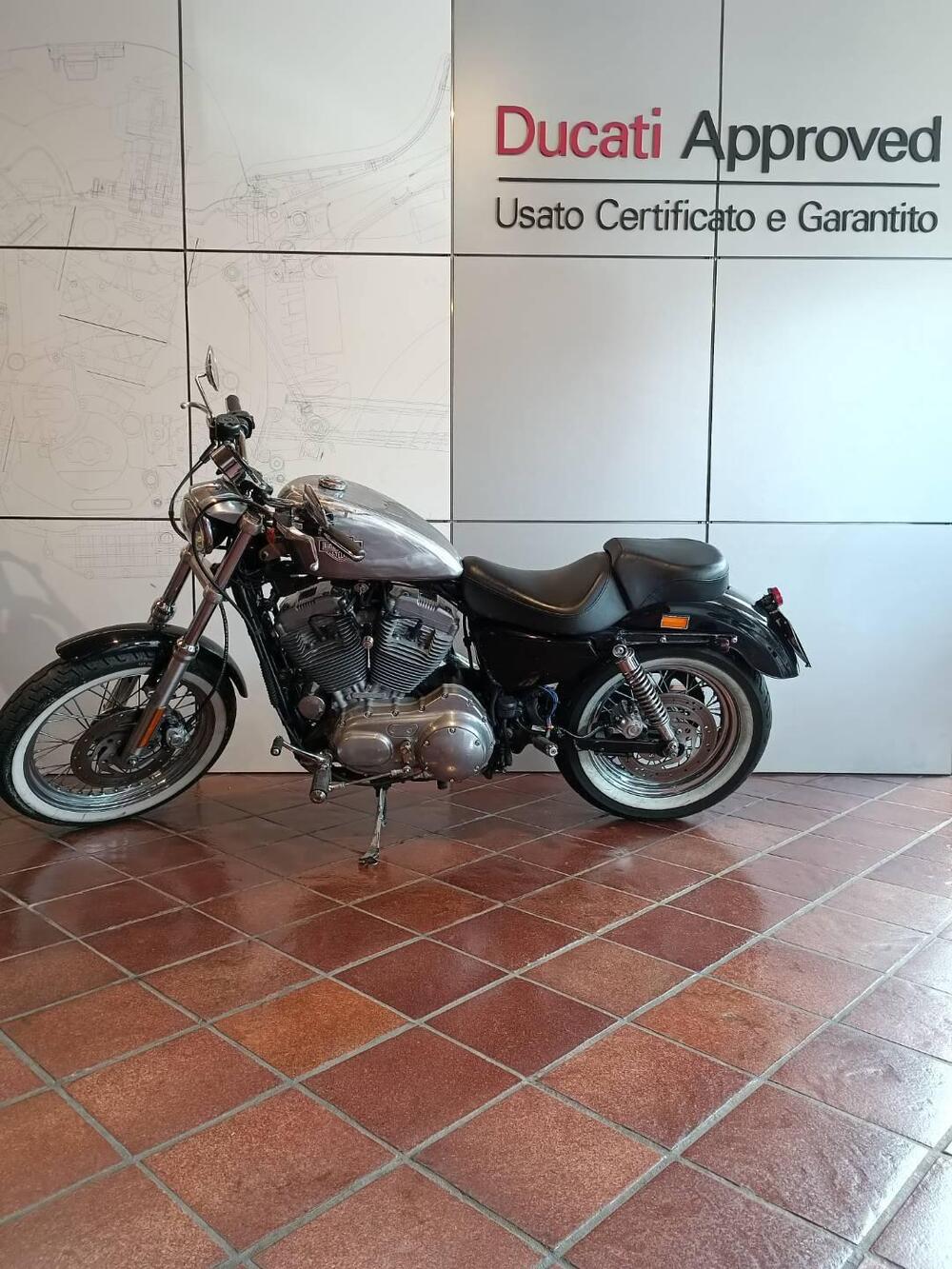 Harley-Davidson 883 Custom (2001 - 05) - XL 53C (3)