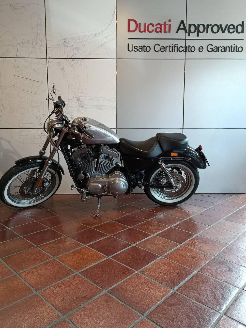 Harley-Davidson 883 Custom (2001 - 05) - XL 53C (4)