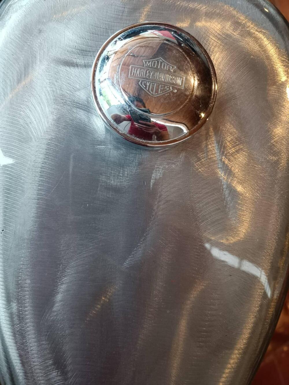 Harley-Davidson 883 Custom (2001 - 05) - XL 53C (7)