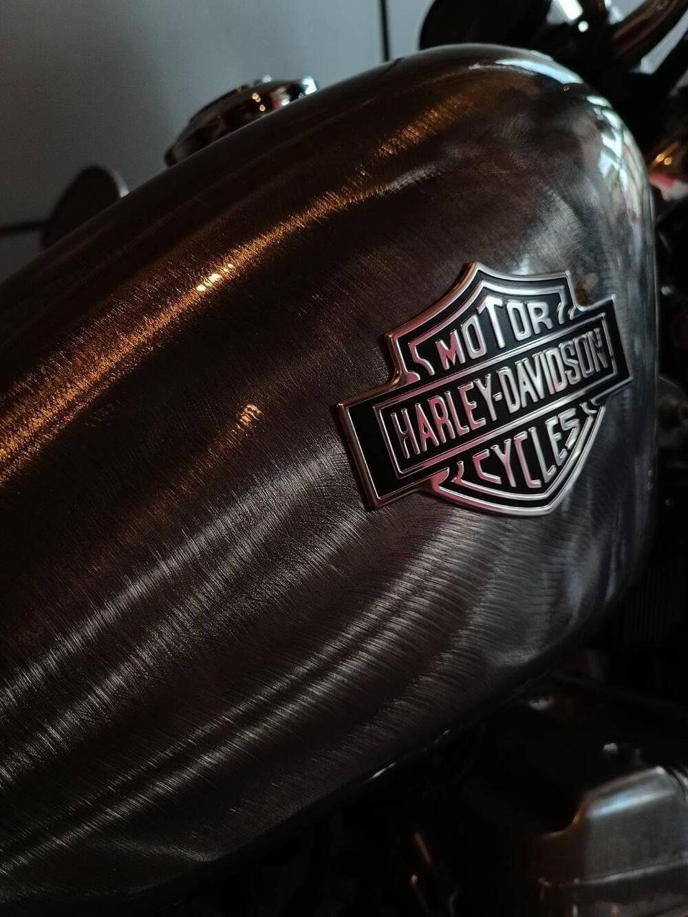 Harley-Davidson 883 Custom (2001 - 05) - XL 53C (8)