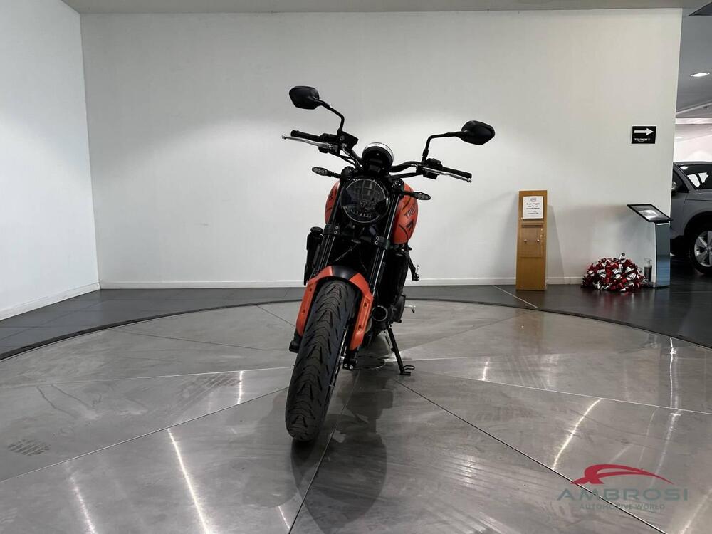 Triumph Trident 660 (2021 - 24) (2)