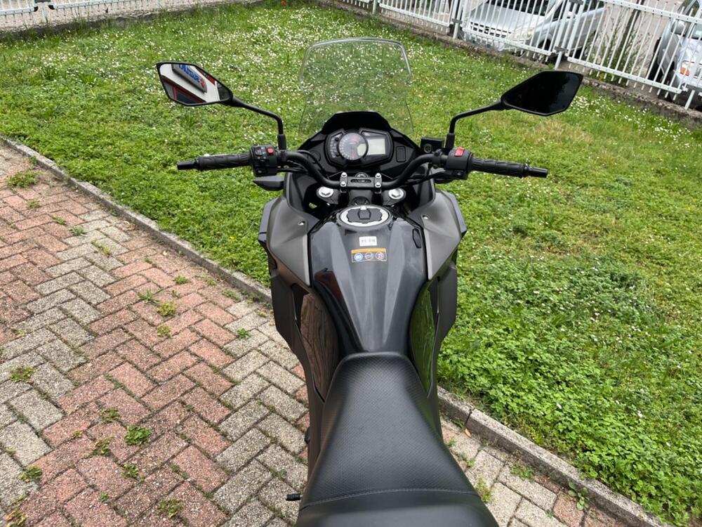 Kawasaki Versys-X 300 (2017 - 20) (11)