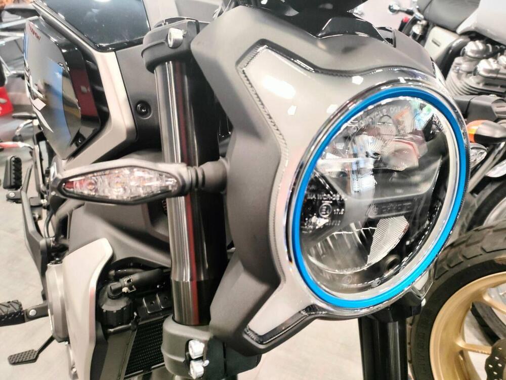 CFMOTO 300CL-X Heritage (2023 - 26) (2)