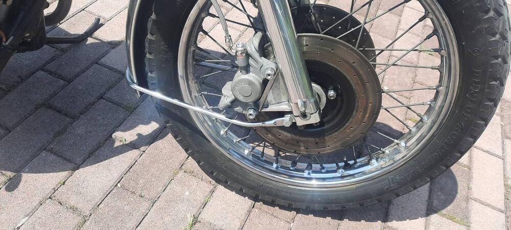 Triumph Trident t150v (5)