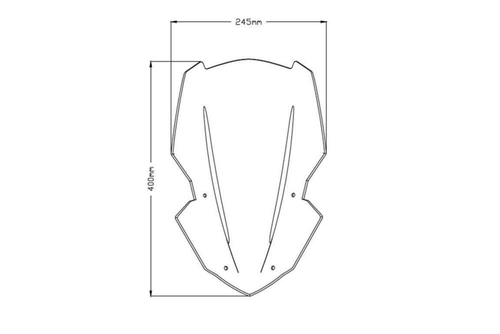 Cupolino Puig per Kawasaki Z900 2017-'21 (5)