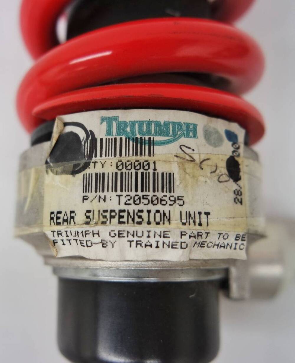 Monoammortizzatore Triumph (5)