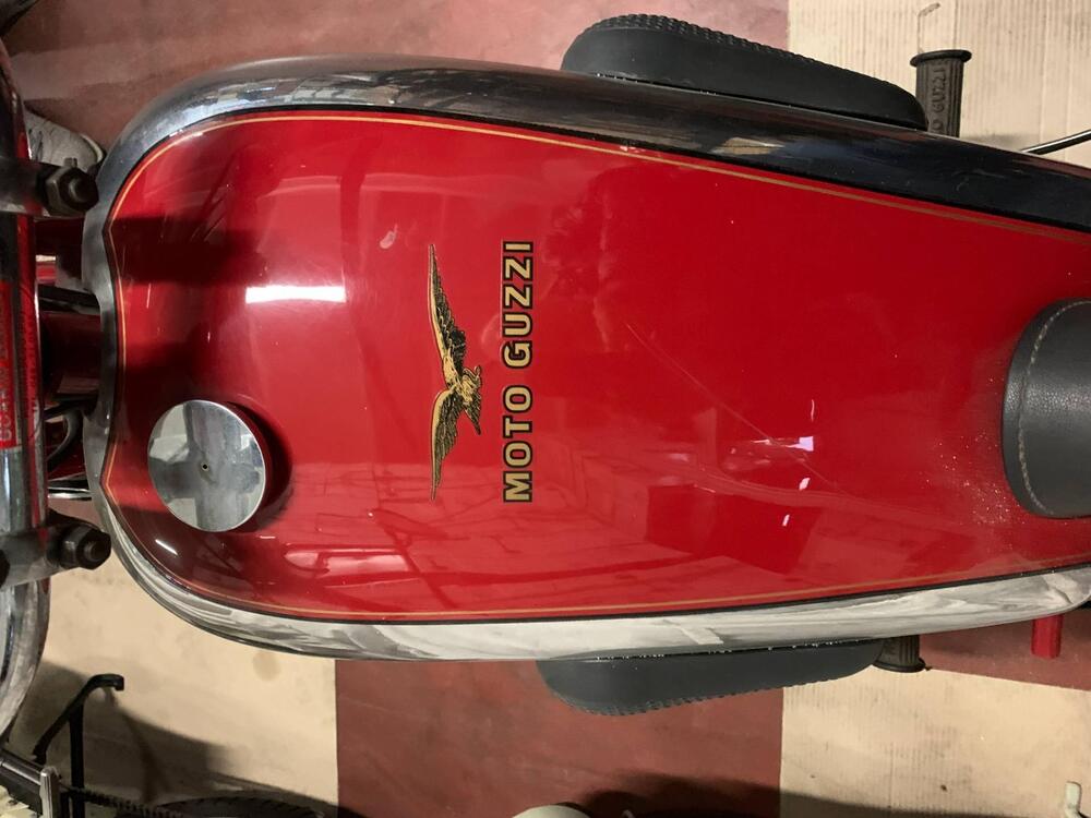 Moto Guzzi V 500 bitubo (8)