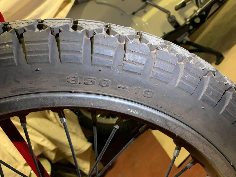 Moto Guzzi V 500 bitubo (15)