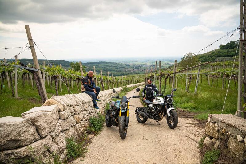 Tra le vigne della Valpolicella