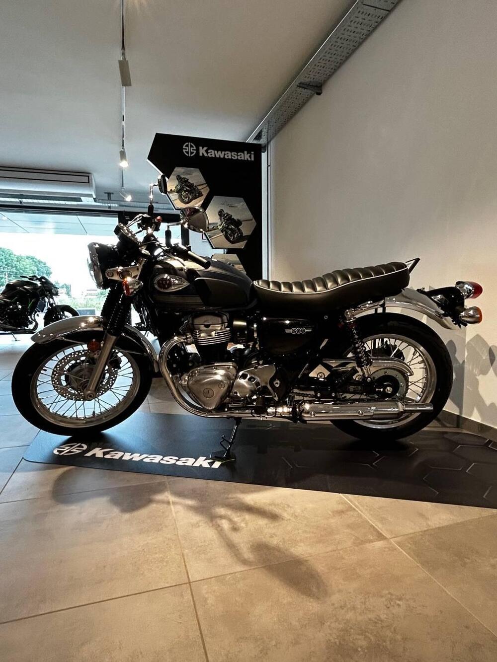 Kawasaki W 800 (2021 - 25)