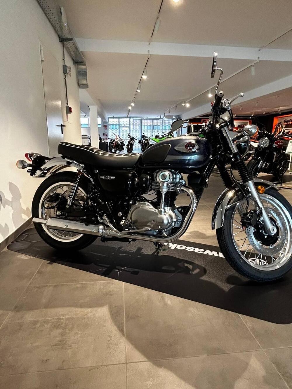 Kawasaki W 800 (2021 - 25) (4)