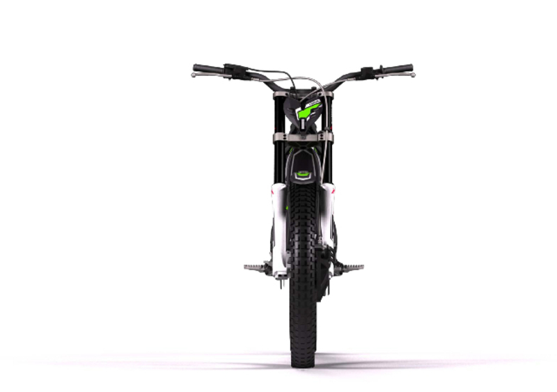 Ossa TR TR 300I (2015 - 20) (2)