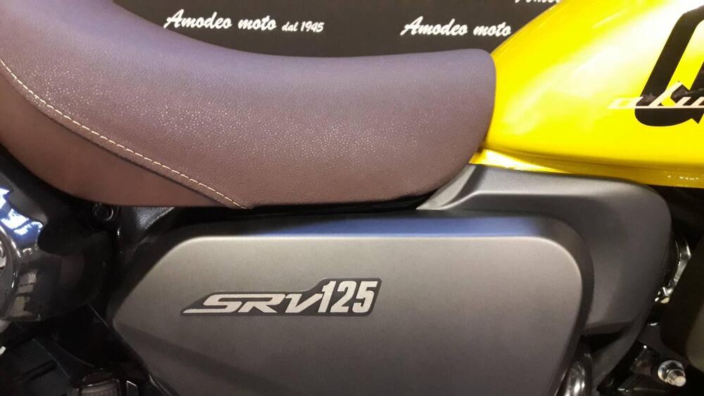 QJ Motor SRV 125 (2023 - 24) (7)