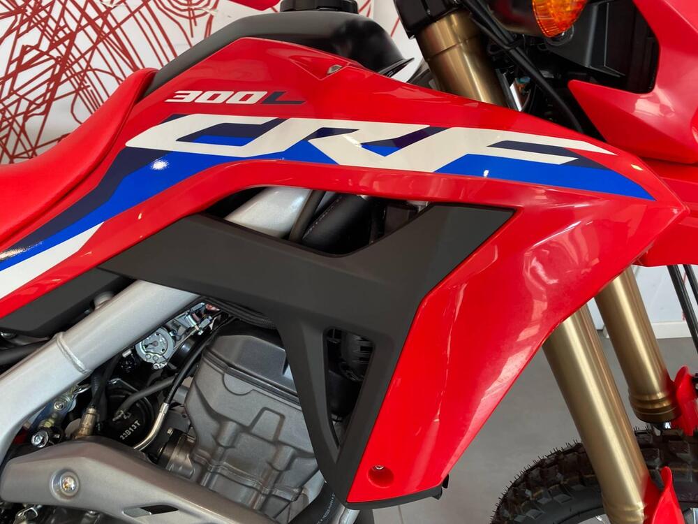 Honda CRF 300 L (2021 - 24) (3)