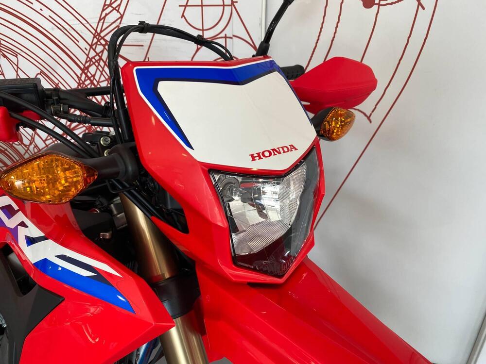 Honda CRF 300 L (2021 - 24) (4)