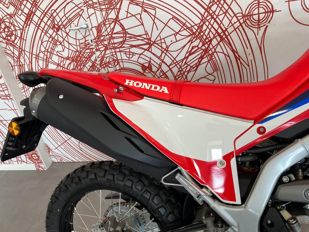 Honda CRF 300 L (2021 - 24) (7)