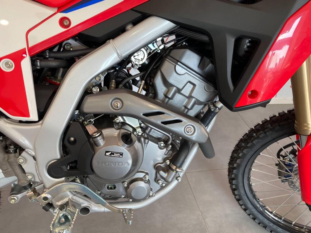 Honda CRF 300 L (2021 - 24) (9)