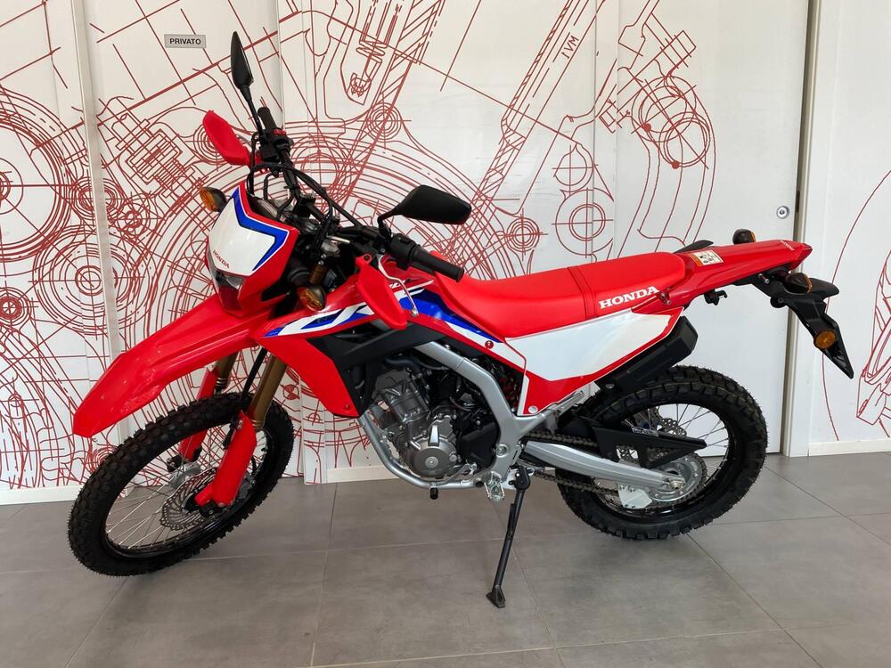 Honda CRF 300 L (2021 - 24) (11)
