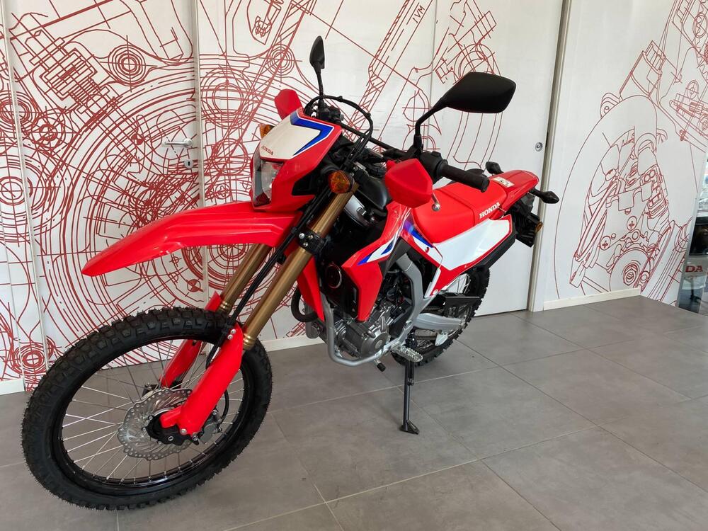 Honda CRF 300 L (2021 - 24) (12)