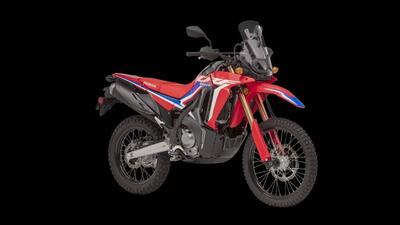 Honda CRF 300 Rally (2021 - 24) nuova