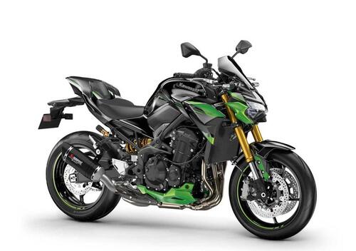 Kawasaki Z 900 SE Performance (2023 - 24)