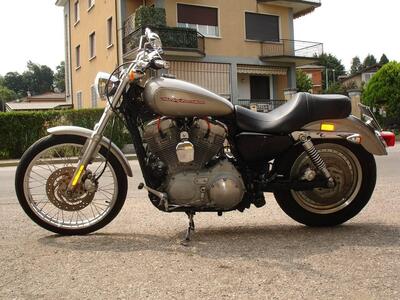 Harley-Davidson 883 Custom (2006 - 07) - XL 883C usata