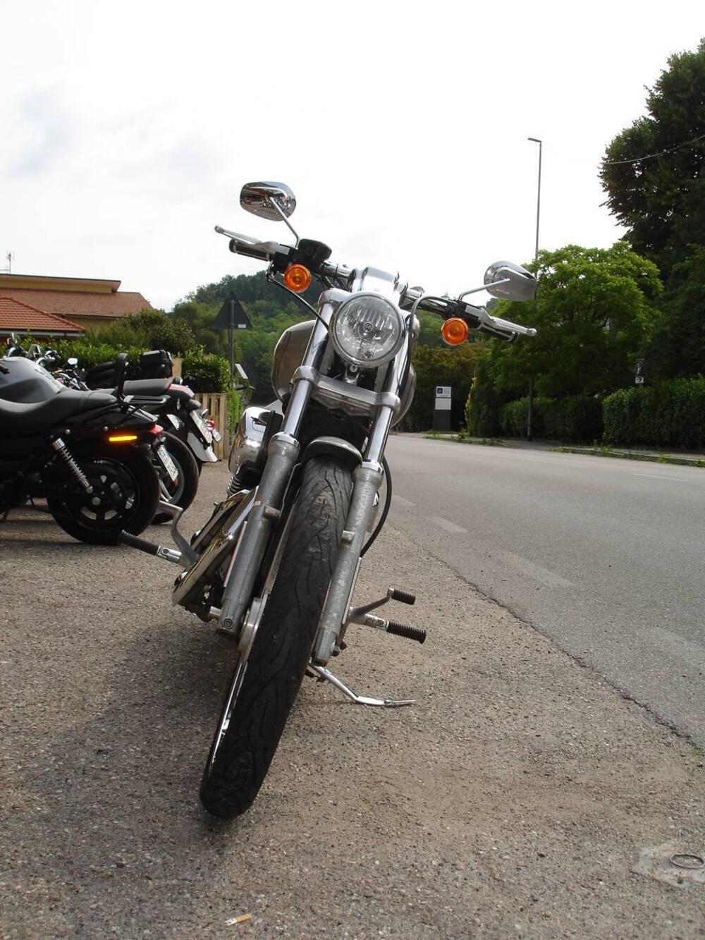 Harley-Davidson 883 Custom (2006 - 07) - XL 883C (4)