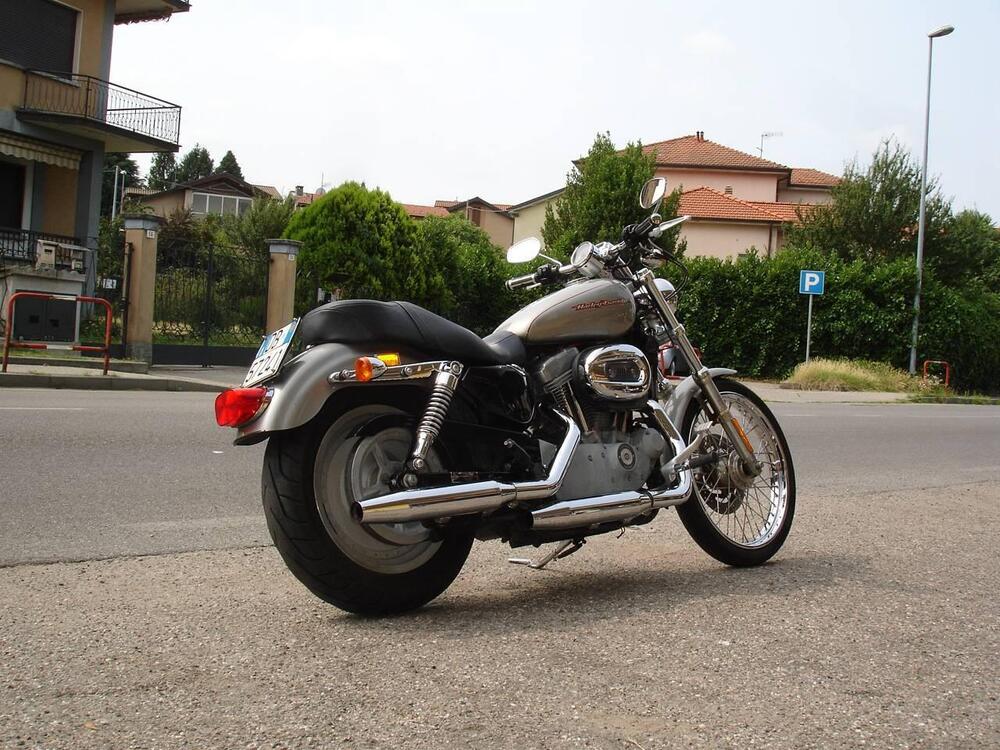 Harley-Davidson 883 Custom (2006 - 07) - XL 883C (8)