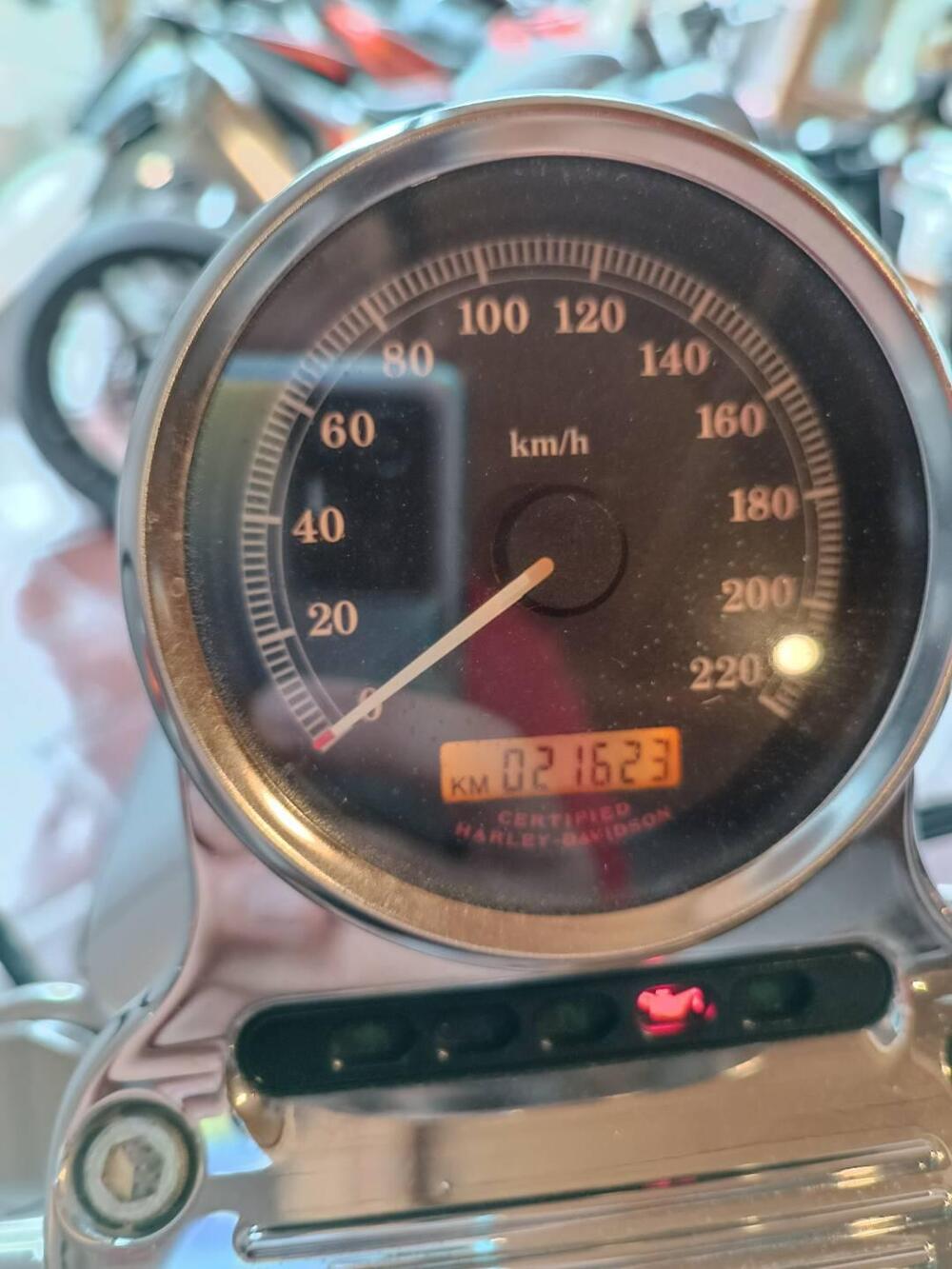 Harley-Davidson 1200 Custom (2007 - 13) - XL 1200C (9)