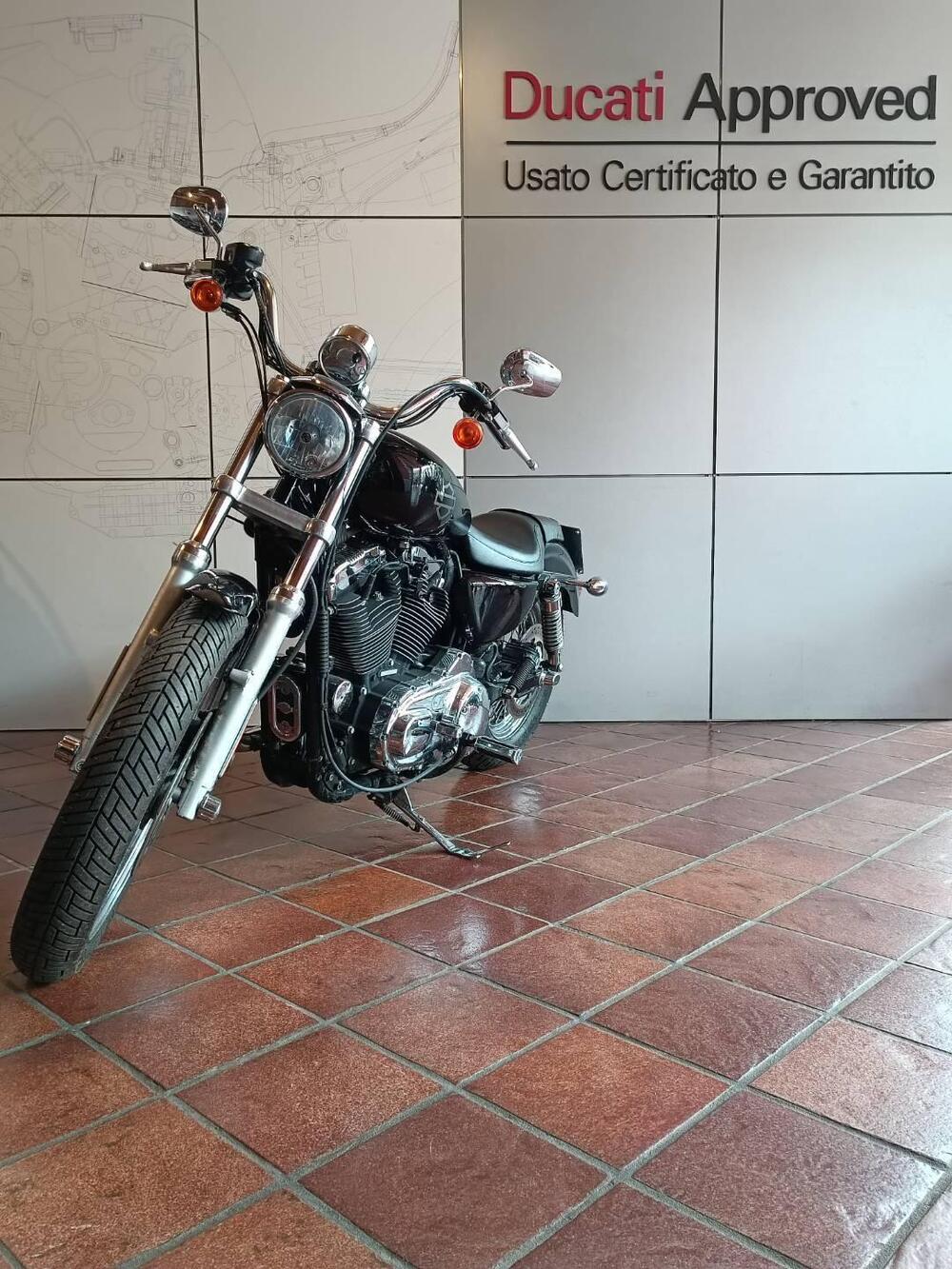 Harley-Davidson 1200 Custom (2007 - 13) - XL 1200C (6)