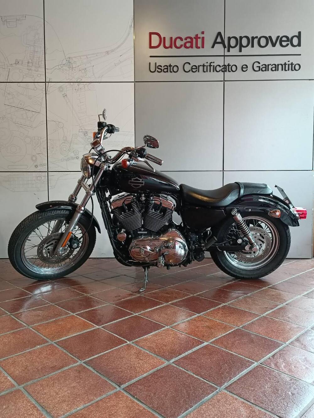 Harley-Davidson 1200 Custom (2007 - 13) - XL 1200C (7)