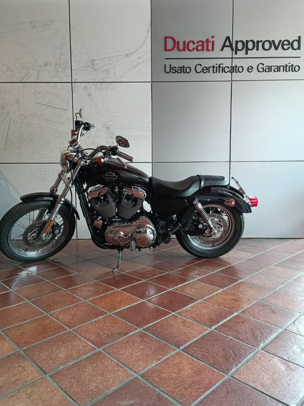 Harley-Davidson 1200 Custom (2007 - 13) - XL 1200C (8)