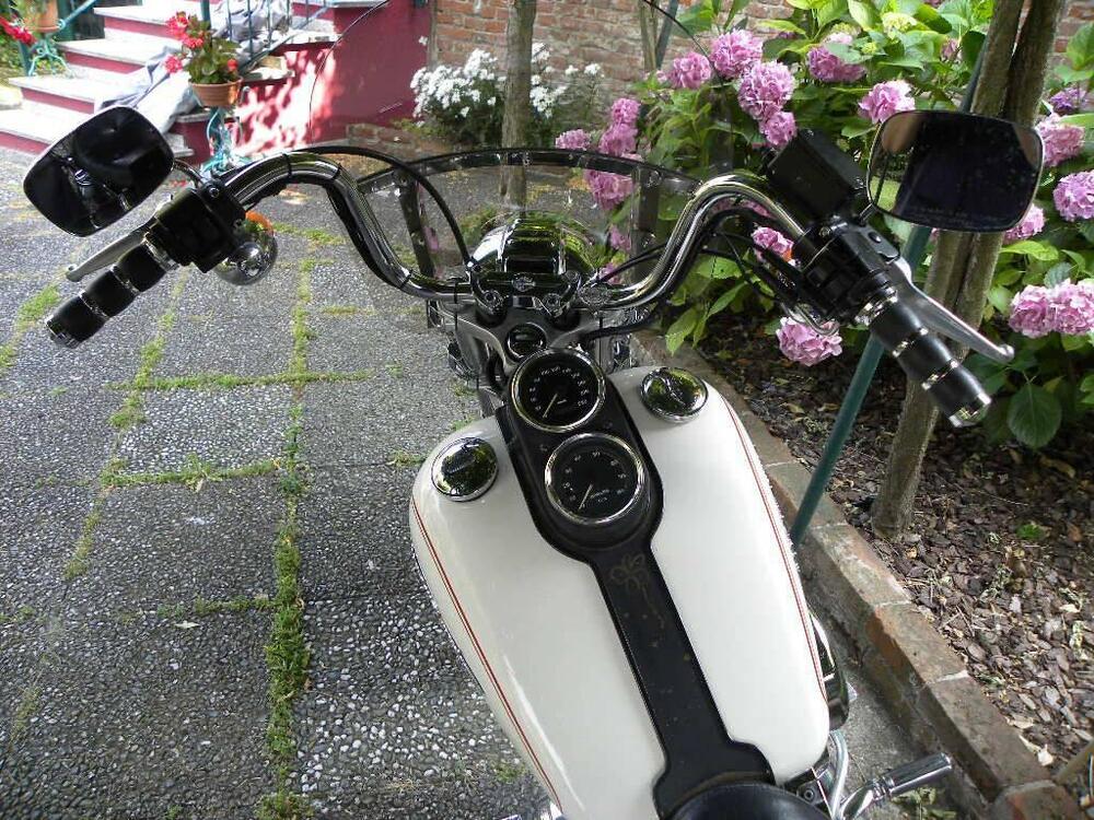 Harley-Davidson Harley-Davidson FXDL Dyna Low Rider 1340 (4)