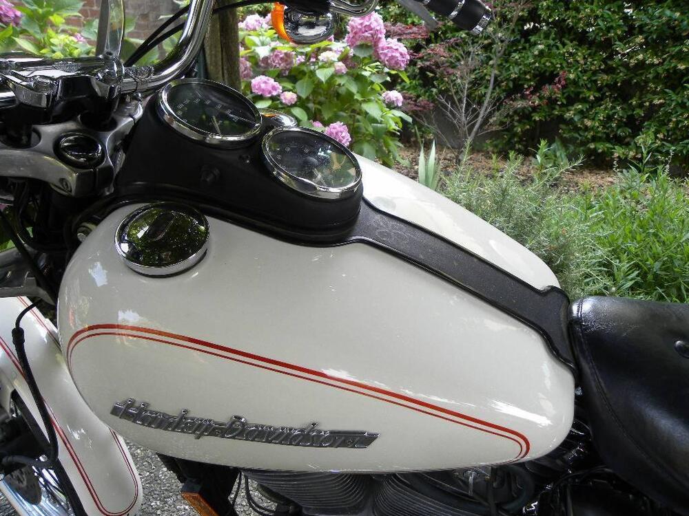 Harley-Davidson Harley-Davidson FXDL Dyna Low Rider 1340 (6)