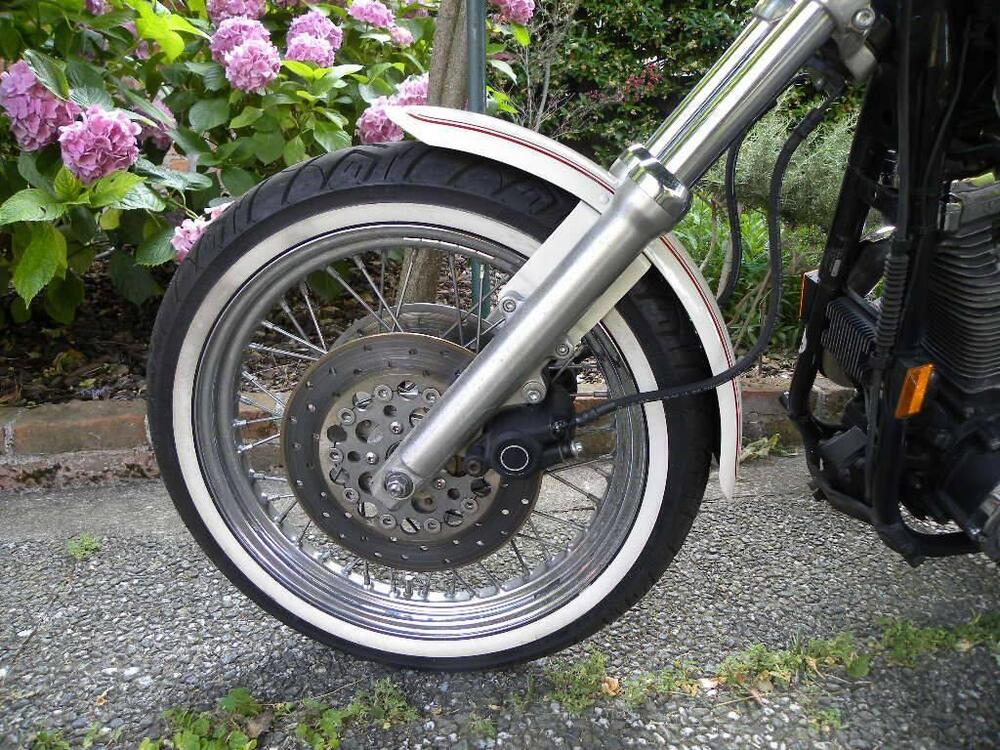 Harley-Davidson Harley-Davidson FXDL Dyna Low Rider 1340 (7)