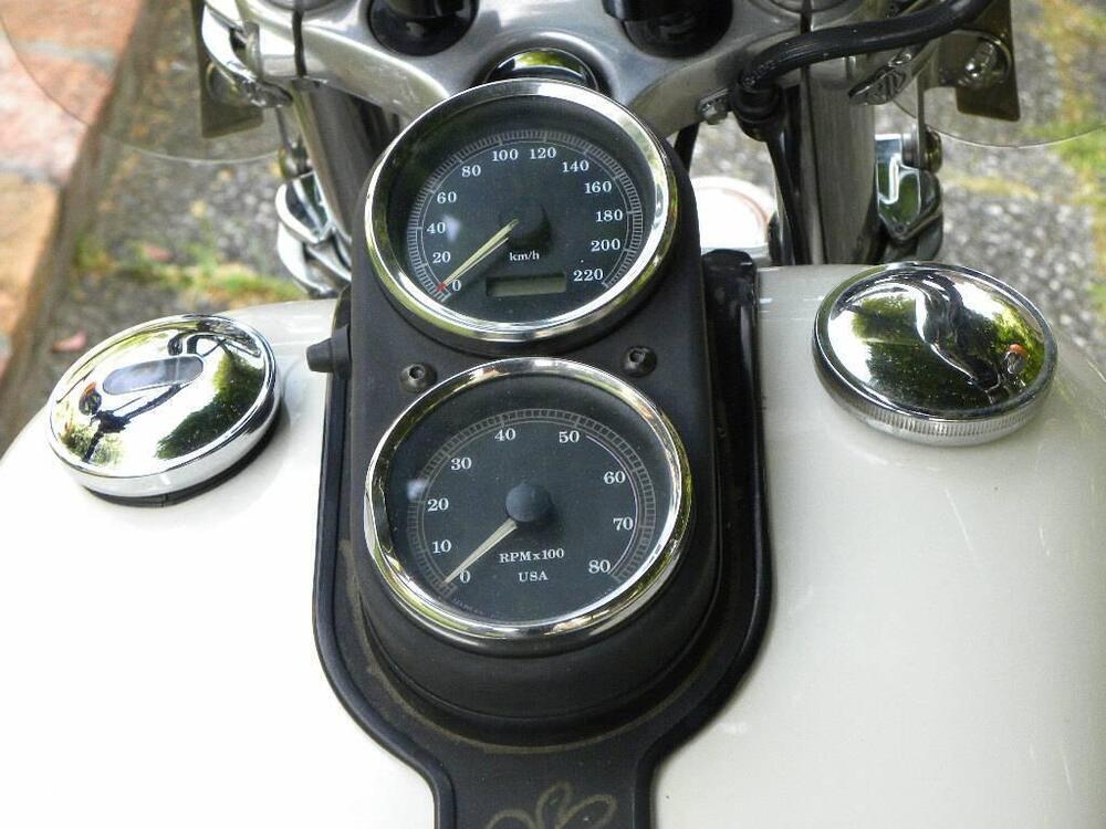 Harley-Davidson Harley-Davidson FXDL Dyna Low Rider 1340 (14)